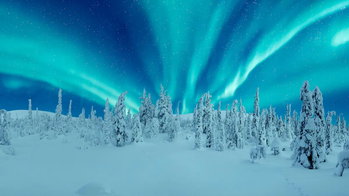 Chasing the Northern Lights: Experience One of the Arctic's Most Remarkable Natural Phenomena